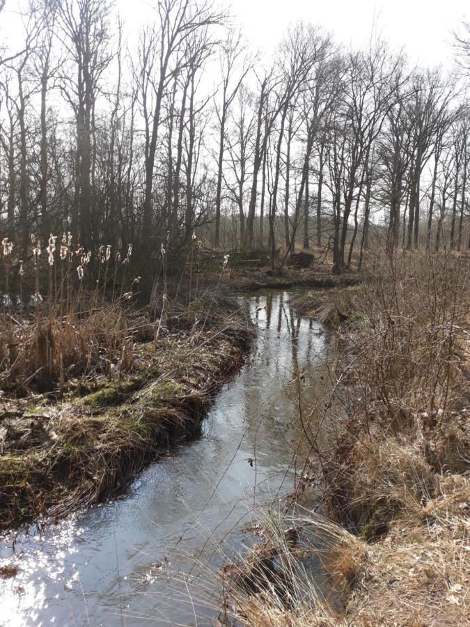Bospareltjes Luxe Chalets Alleen Voor Recreatie Oisterwijk Εξωτερικό φωτογραφία