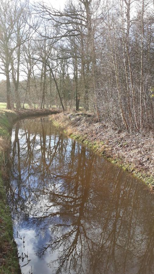 Bospareltjes Luxe Chalets Alleen Voor Recreatie Oisterwijk Εξωτερικό φωτογραφία